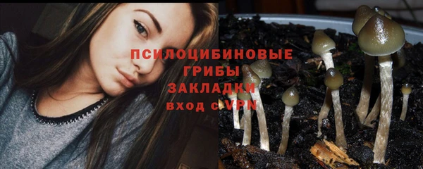 герыч Вяземский